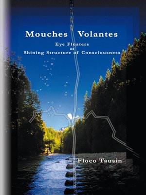 cover image of Mouches Volantes
